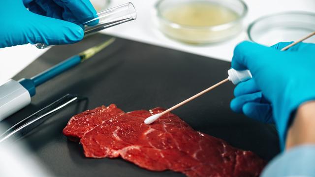 Kurban Bayramı öncesi 'salmonella' bakterisi uyarısı! Yaz aylarında sık görülüyor 'Bazı gruplar daha fazla risk altında'