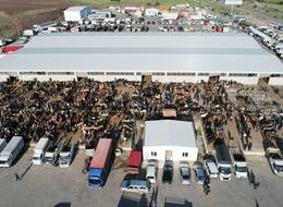 İstanbul'a akın akın giriş başladı! 28 bin adet, hepsi yolda: 'Bu kadar hassas bir konu' diyerek anlattılar