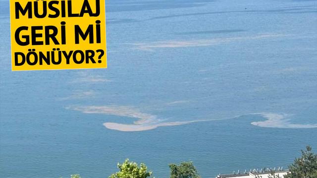 Marmara Denizi'nde endişelendiren görüntü! Geri mi dönüyor?