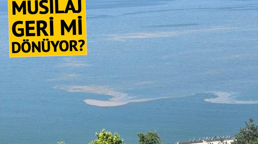Marmara Denizi'nde endişelendiren görüntü! Müsilaj geri mi dönüyor?