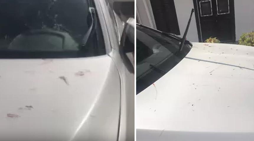 Antalya Belediye başkanının makam aracına cam bardak fırlatıp sileceğine zarar vermişti! Şüpheli gözaltına alındı