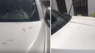 Antalya Belediye başkanının makam aracına cam bardak fırlatıp sileceğine zarar vermişti! Şüpheli gözaltına alındı