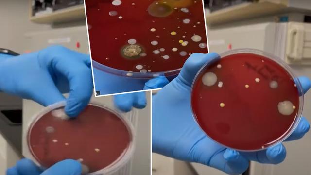 AVM’lerde büyük tehlike! Alınan örnekler uzmanları bile şaşırttı: Bakteri ve mantarla kaplandı…