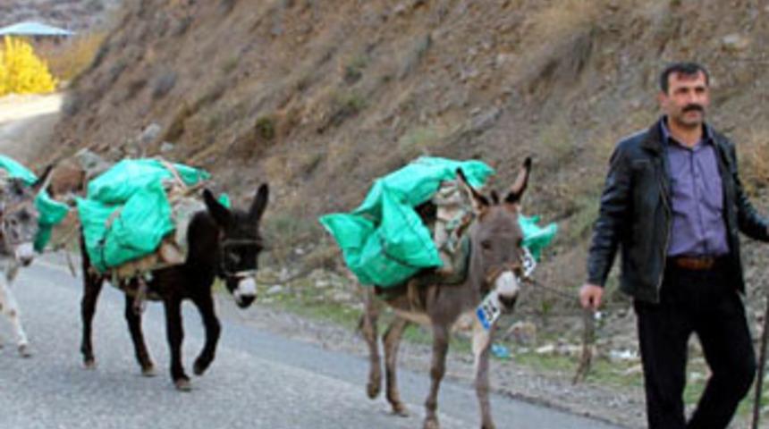 Sigorta şirketine ilginç protesto