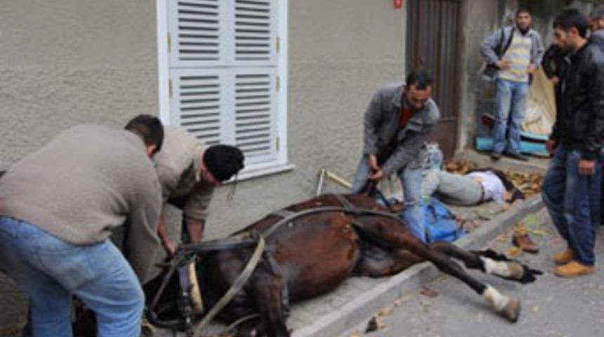 Büyükada'da fayton kazası!