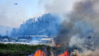 Antalya, Muğla ve Bursa'da orman yangını! Ekipler seferber oldu