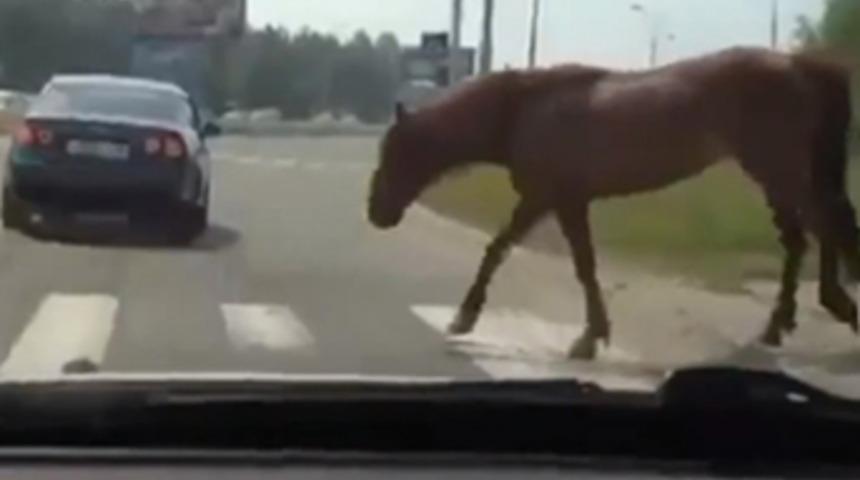 Rockstar, GTA serisini nereden esinlendi?