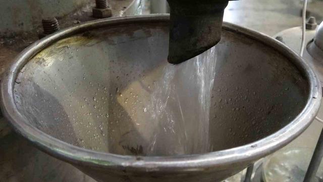 Litresi 400 bin TL! Fransa, İngiltere, Amerika, Japonya... Hepsinden talep var! Sabah erkenden toplamaya başlıyorlar