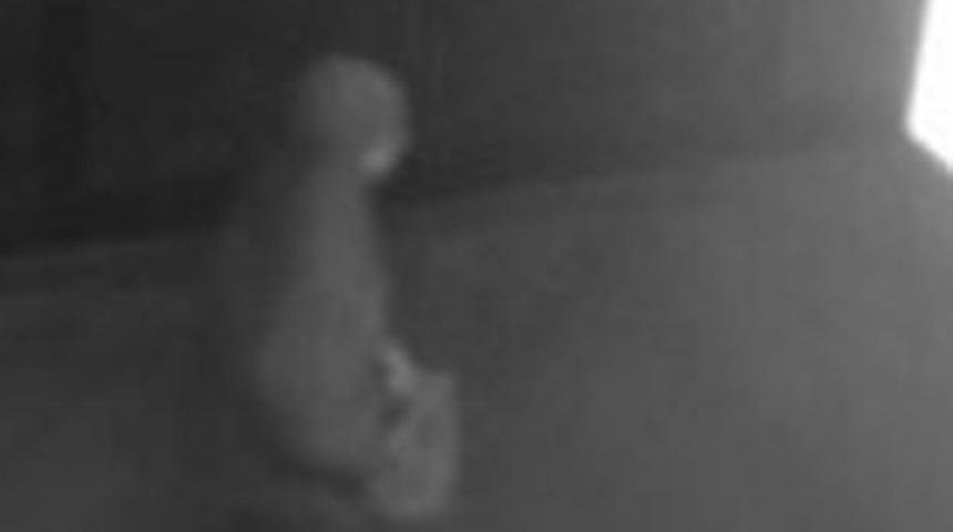 İşte suikastı ger&ccedil;ekleştiren katil