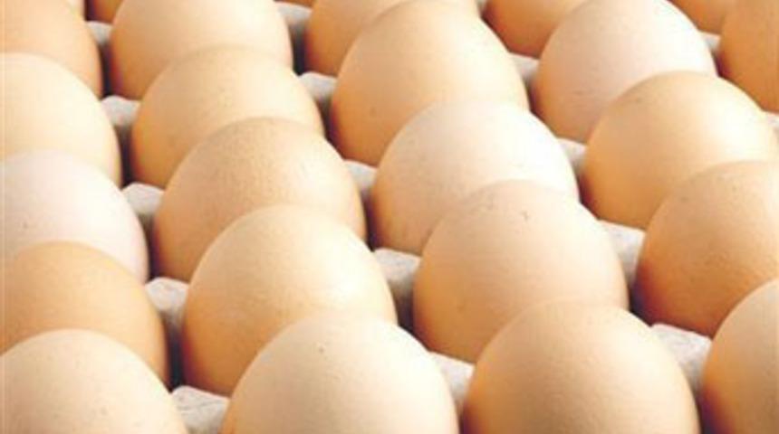 Bakkallar yumurta satamayacak