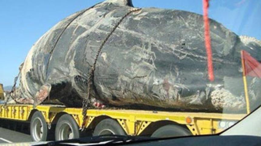 G&ouml;renler şoke oldu!