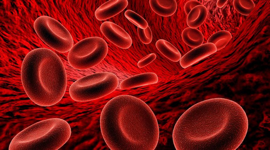 Kansızlık belirtileri nelerdir? Kansızlığa ne iyi gelir? Kansızlık tedavisi