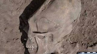 Bin yıllık kafatası