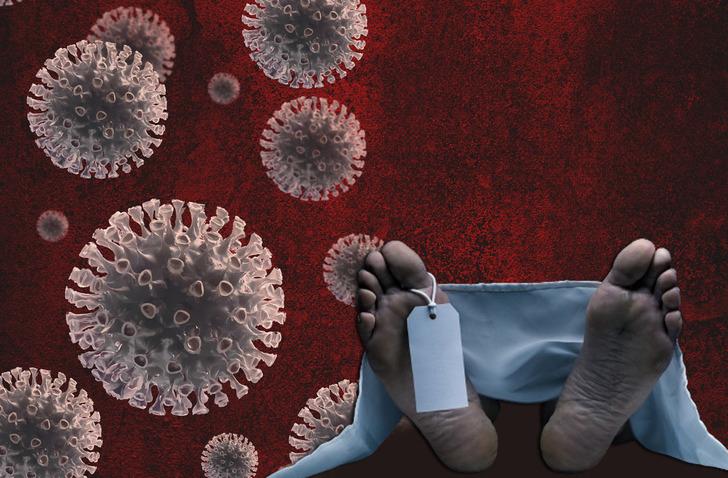 A(H5N2) kuş gribi kaynaklı ilk insan ölümü! DSÖ doğruladı, Meksika'dan gelen haber tüm dünyayı endişelendirdi