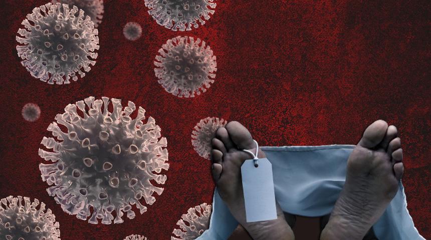 A(H5N2) kuş gribi kaynaklı ilk insan ölümü! DSÖ doğruladı, Meksika'dan gelen haber tüm dünyayı endişelendirdi