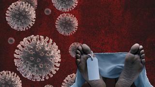 A(H5N2) kuş gribi kaynaklı ilk insan ölümü! DSÖ doğruladı, Meksika'dan gelen haber tüm dünyayı endişelendirdi