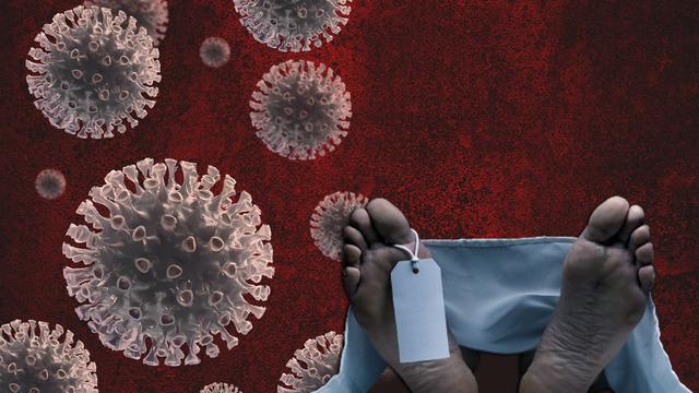 A(H5N2) kuş gribi kaynaklı ilk insan ölümü! DSÖ doğruladı, Meksika'dan gelen haber tüm dünyayı endişelendirdi