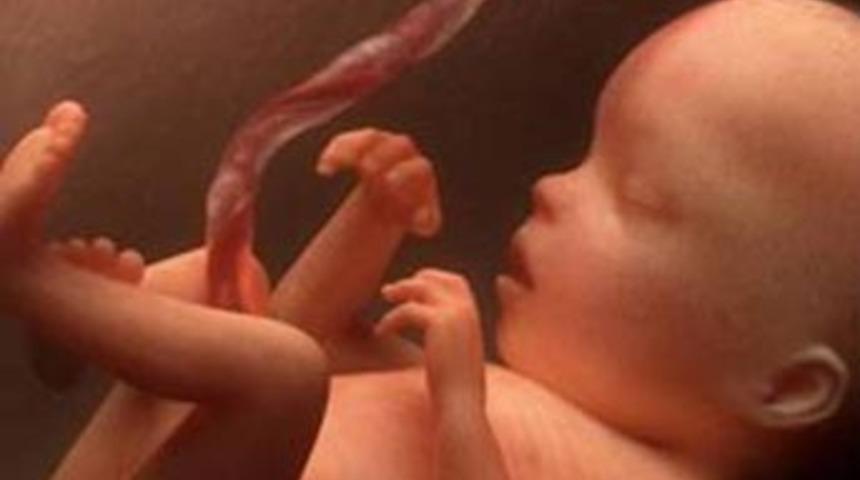 Anne karnında sıvı kaybı bebeği &ouml;ld&uuml;rebilir