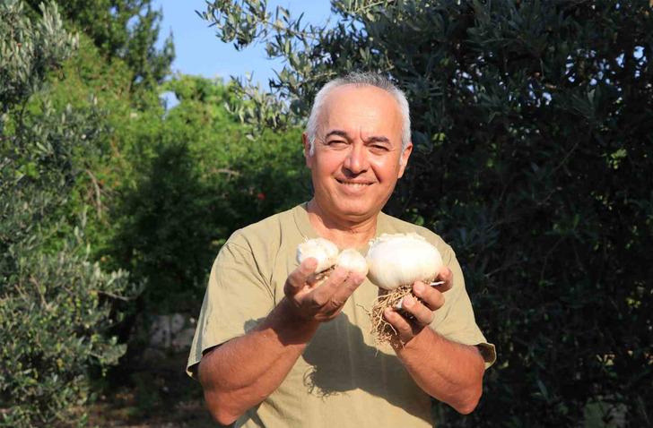 Gören şaşırıp bir daha bakıyor! Arkadaşı Tayland'dan getirdi... Orayı kiralayıp harekete geçti 'Bu illerde çok iyi tutacak'