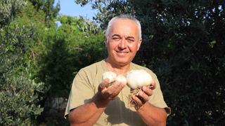 Gören şaşırıp bir daha bakıyor! Arkadaşı Tayland'dan getirdi... Orayı kiralayıp harekete geçti 'Bu illerde çok iyi tutacak'