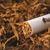 Şark tipi tütün ve tütün tozu ithalatı yasaklandı