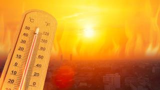 Kavurucu sıcaklar için çalışma saati önerisi! 'Modifiye edilebilir' Bazı belediyeleri örnek gösterdi! 'Özel iş yerlerinde de uygulanabilir'