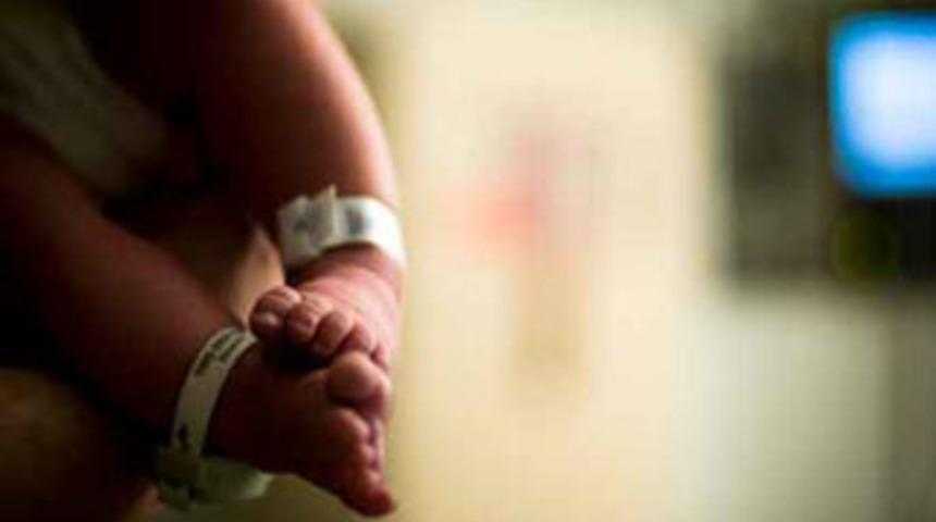 Fareler bebeği yedi