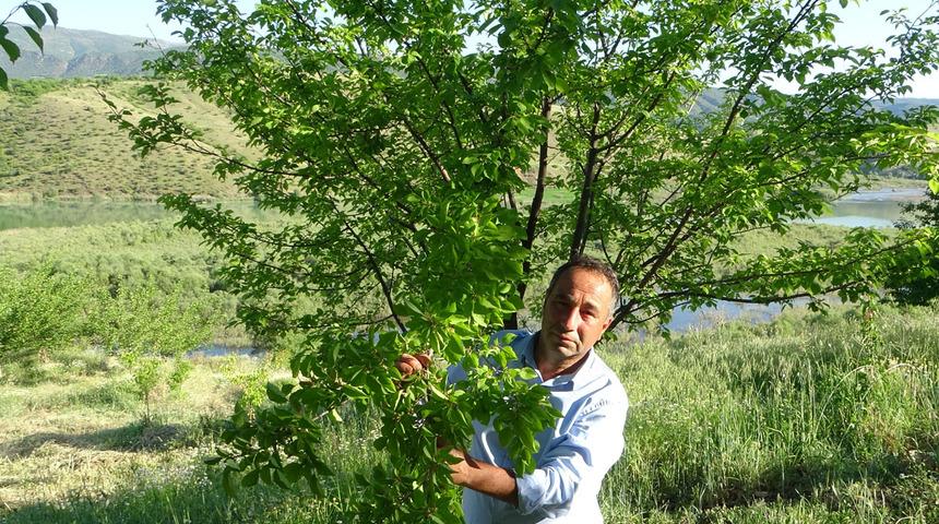 'Türkiye'de bir benzerinin olduğunu sanmıyorum' Görenleri şaşırtıyor! 3 yıldır üzerinde çalışıyorlardı