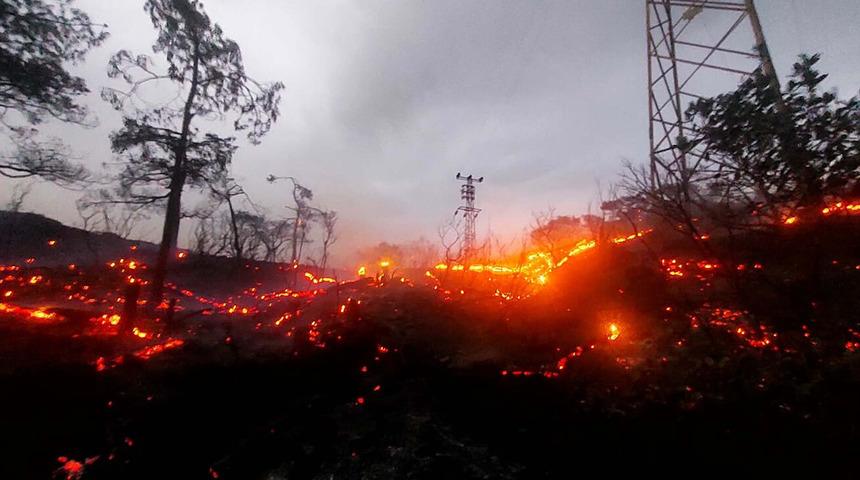 Bir buçuk saatte 1 hektar alan yandı! Hem havadan hem karadan müdahale edildi