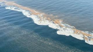 'Denize girmek sağlığa zararlı olabilir' Aşırı artışlar artık sık! O tehlikeye dikkat çekti