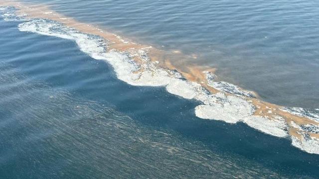 'Denize girmek sağlığa zararlı olabilir' Aşırı artışlar artık sık! O tehlikeye dikkat çekti