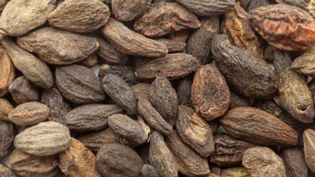 Alternatif tıbbın kralı: Siyah mücevher olarak biliniyor! Her derde deva Peygamber reçetesi