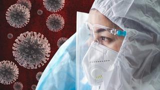 Tüm dünyayı endişelendirmişti! H5N2 virüsünün salgın oluşturma tehlikesi var mı? Prof. Dr. Ceyhan açıkladı 