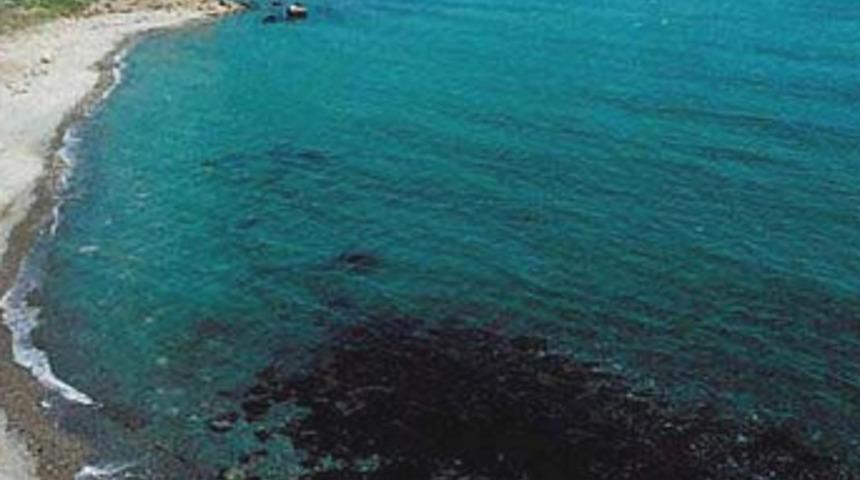 Karadeniz yok oluyor!