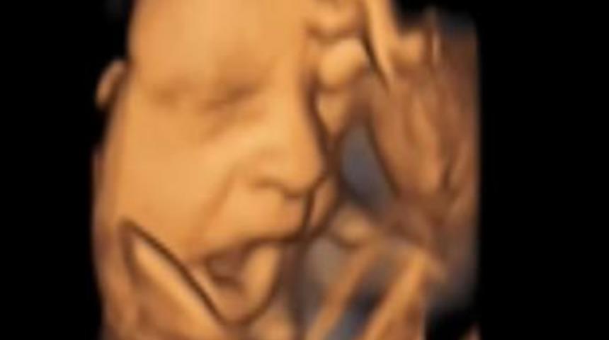 Bilim adamlarını heyecanlandıran görüntü