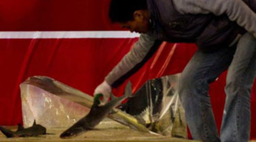 Alışveriş merkezinde felaket!