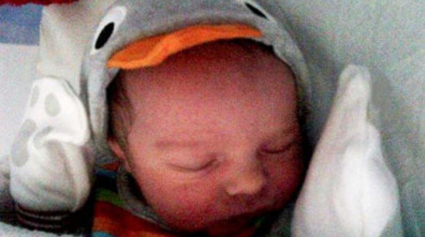 Kıskanç köpek 8 günlük bebeğe saldırdı