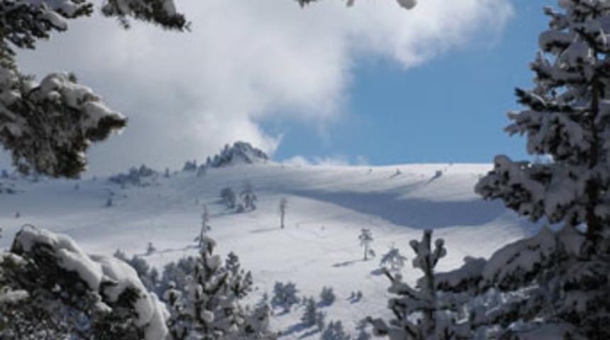 Kartalkaya'da kaybolan 13 kişi bulundu