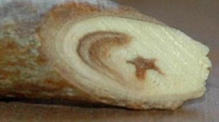 Ay yıldızlı ağaç dalı