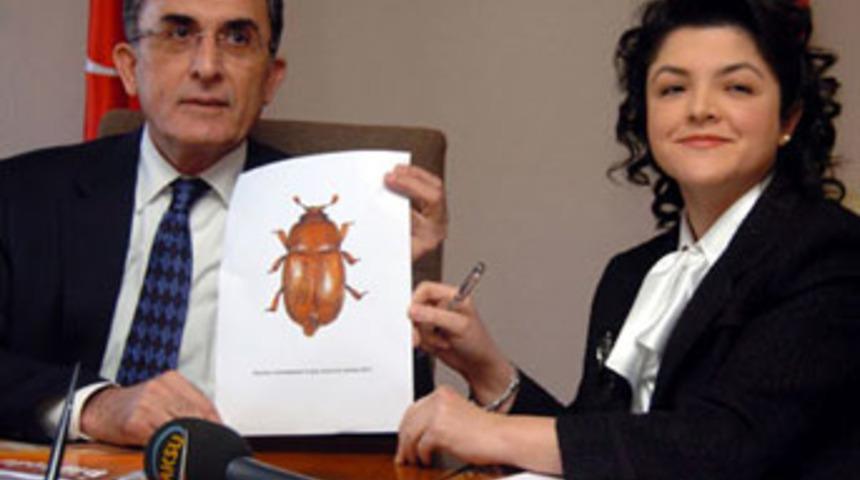 O b&ouml;ceğin ismi değişecek!