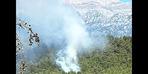 Antalya'da orman yangını! Çok sayıda ekip sevk edildi