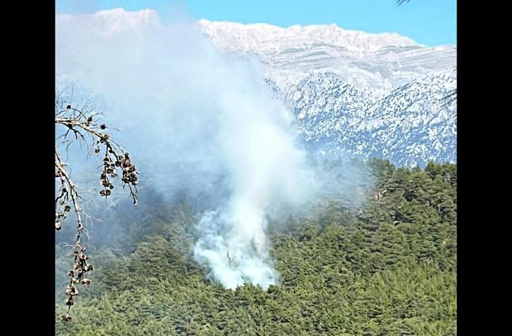 SON DAKİKA | Antalya'da orman yangını! Çok sayıda ekip sevk edildi