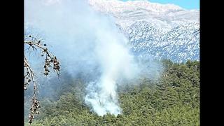 SON DAKİKA | Antalya'da orman yangını! Çok sayıda ekip sevk edildi