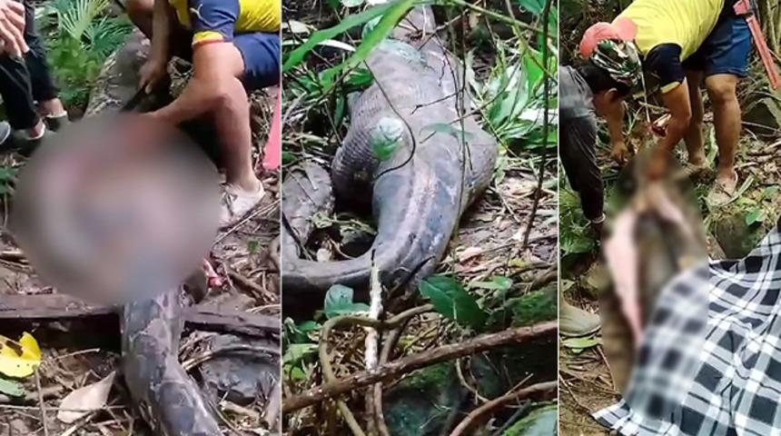 Kan donduran olay: 5 metrelik piton kadını yuttu! Cesede böyle ulaşıldı