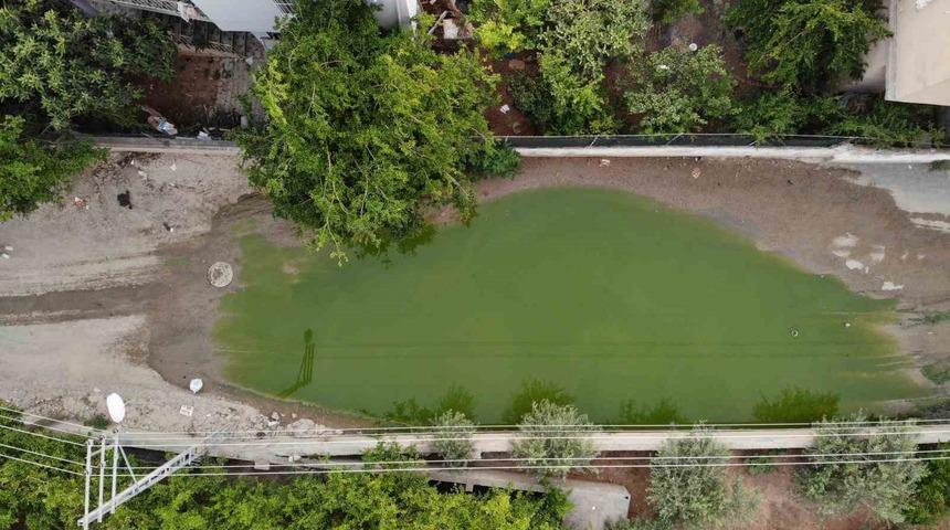 Merak uyandıran görüntü! Günler geçse de kaybolmadı, bu renge döndü