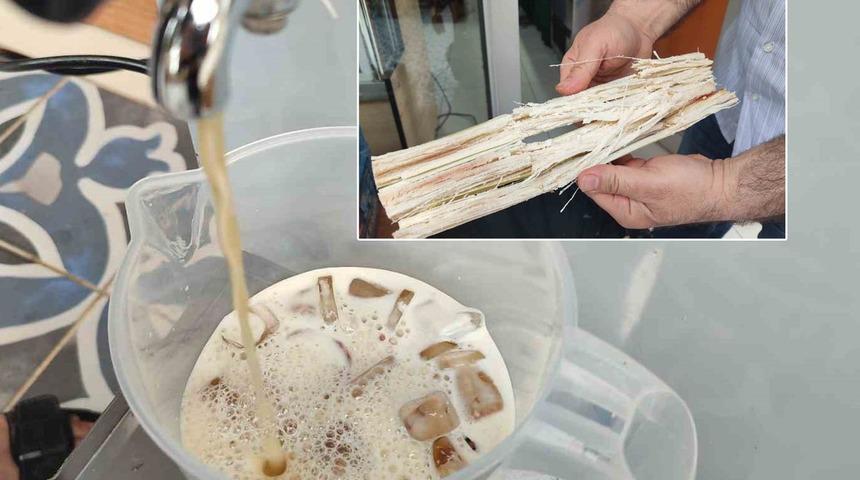 'Halk yeni yeni keşfetmeye başladı' Faydalarını saymakla bitiremedi! Kanser, mide, bağışıklık, cilt... 'Anlamaya, çözmeye çalışıyorlar'