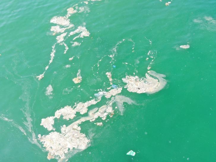 İstanbul'da kabus uyandı: Görür görmez kaçın! G5