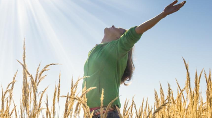 28 G&uuml;nl&uuml;k Değişim: 10. G&uuml;n