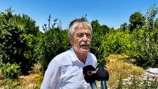 'Memur bile 40 bin TL alırken biz ayda 60 bin TL veriyoruz! İşçi bulamıyoruz' Herkes il dışına çıkınca... Kendileri de yetişemiyor