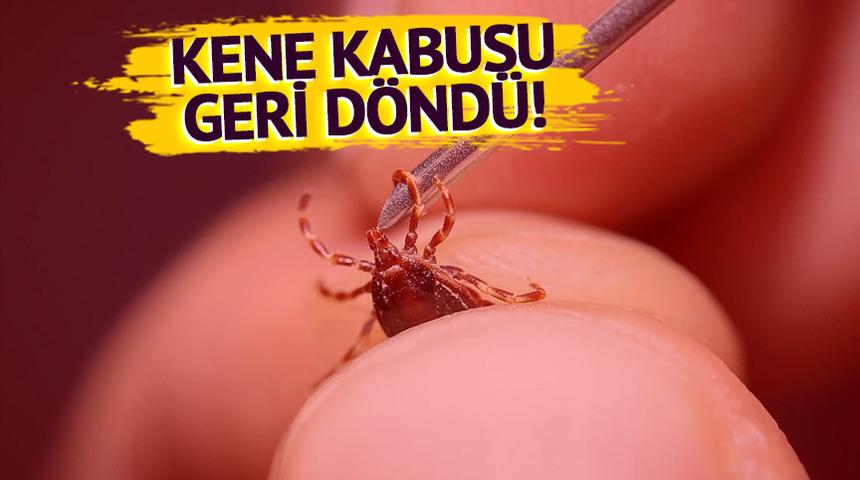 Kene kabusu geri döndü: Sivas'ta beş günde üçüncü ölüm!